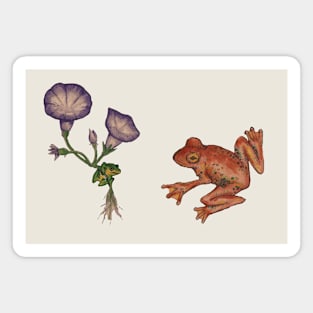 Odd Frogs Magnet